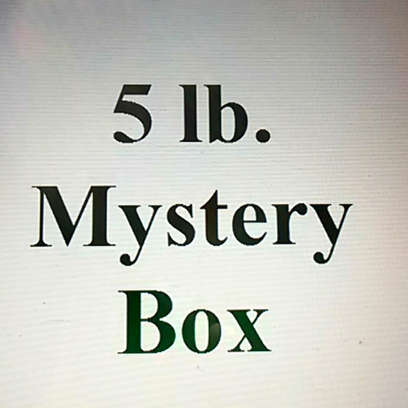 Lucky Brand Tops - 5 lb mystery box